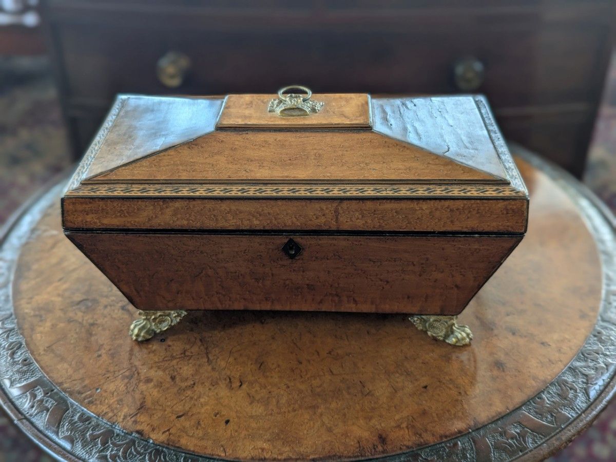 Regency Amboyna Tea Caddy